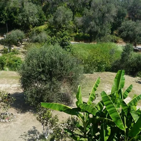 Secluded Serenity - A Tranquil In Corfu